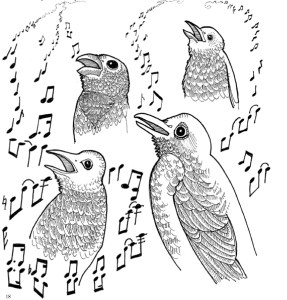 Dibujo del cuadernillo descargable sobre Rachel Carson editado por Servicio de Pesca y Vida Silvestre de EE. UU. 